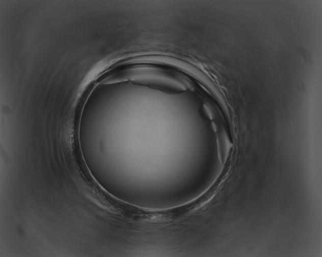 X0000090970056200708021446