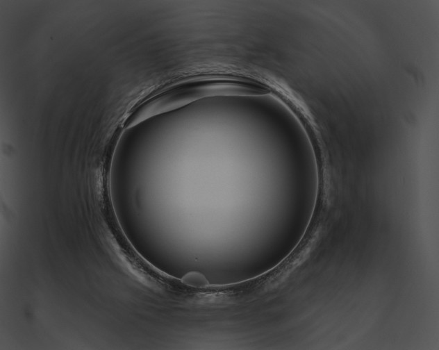 X0000090970057200708021446