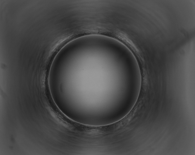 X0000090970058200708021446