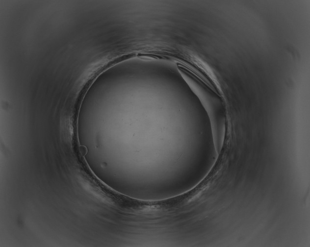 X0000090970059200708021446