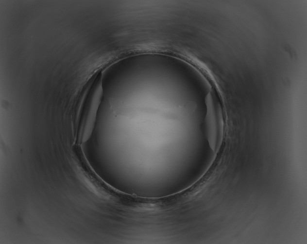 X0000090970061200708021446