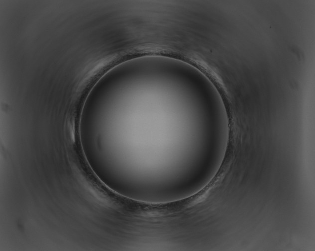 X0000090970062200708021446