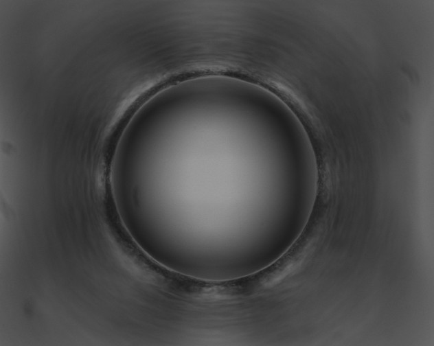 X0000090970064200708021446