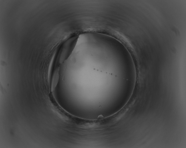 X0000090970065200708021446