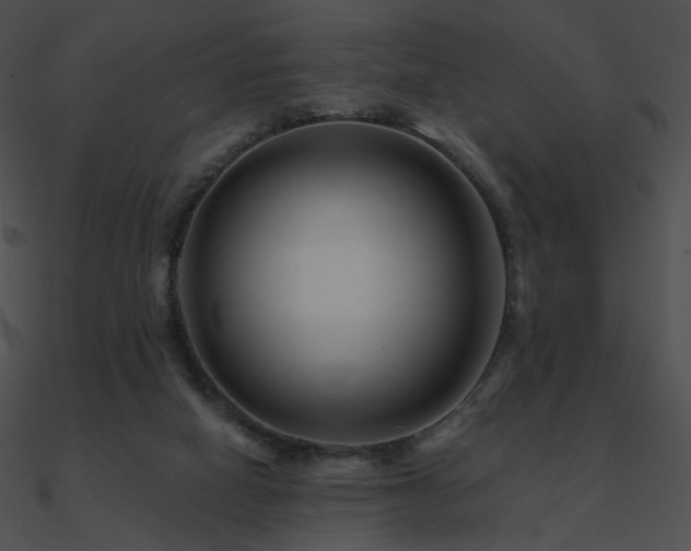 X0000090970066200708021446