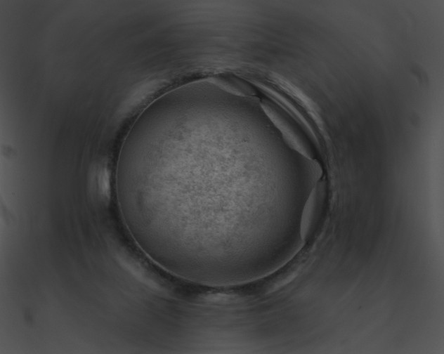 X0000090970067200708021446