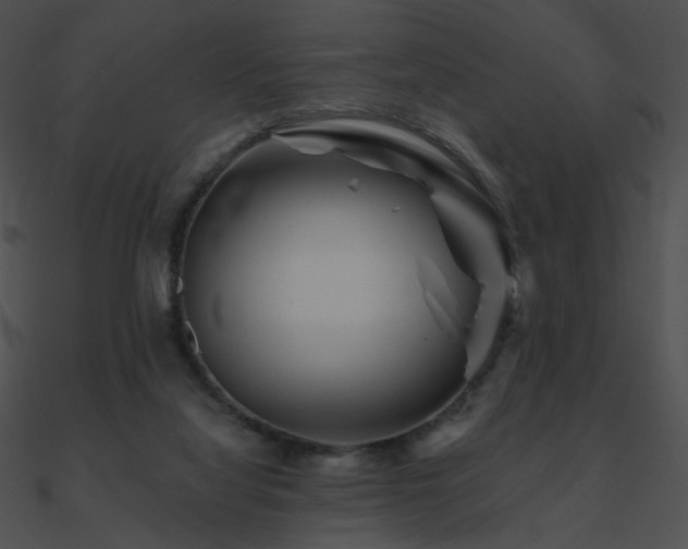 X0000090970068200708021446