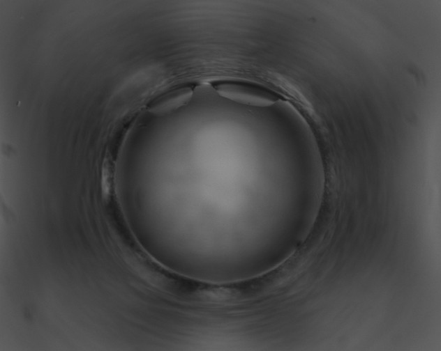 X0000090970069200708021446