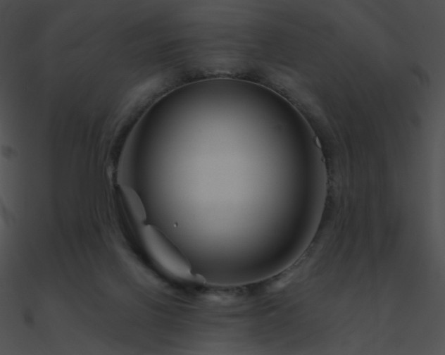 X0000090970070200708021446