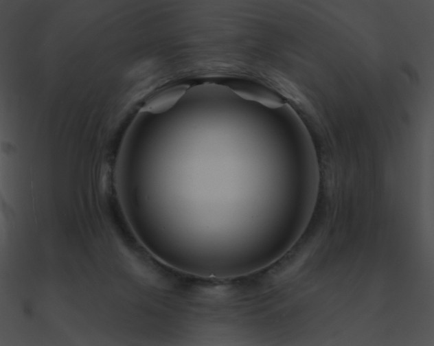 X0000090970071200708021446