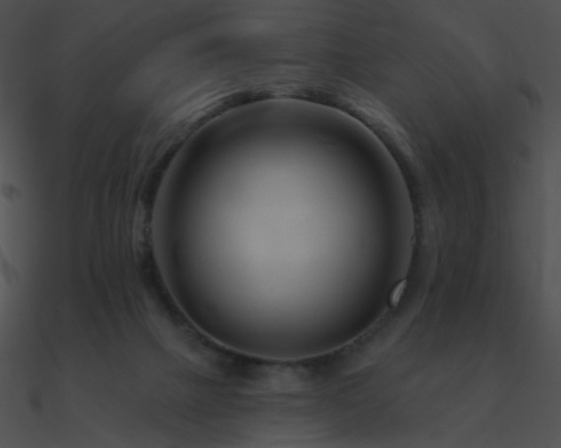 X0000090970073200708021446