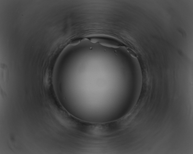 X0000090970074200708021446