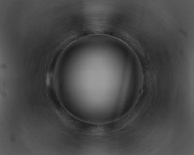 X0000090970075200708021446