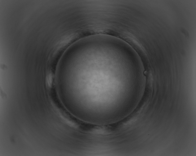 X0000090970076200708021446