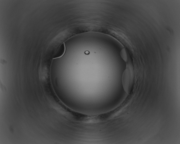 X0000090970077200708021446