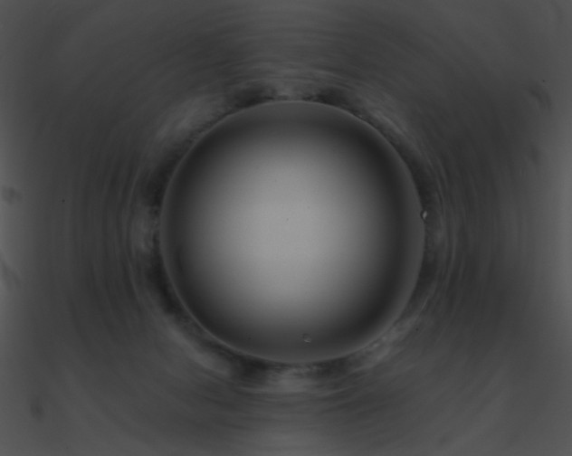 X0000090970078200708021446