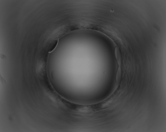 X0000090970079200708021446