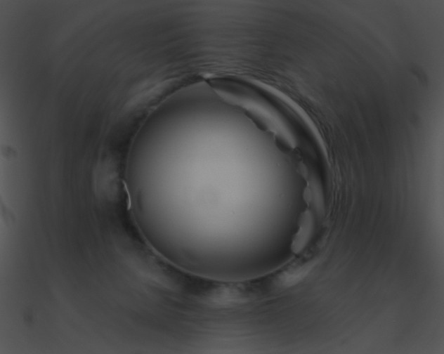 X0000090970080200708021446