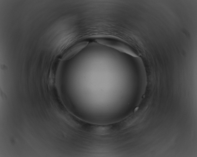 X0000090970081200708021446