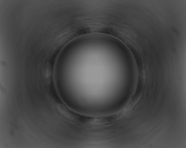 X0000090970082200708021446