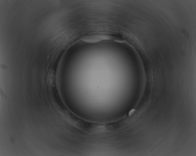 X0000090970083200708021446