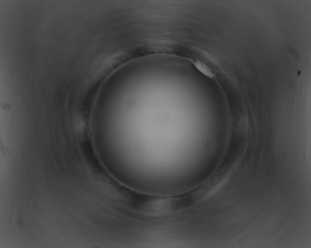 X0000090970084200708021447