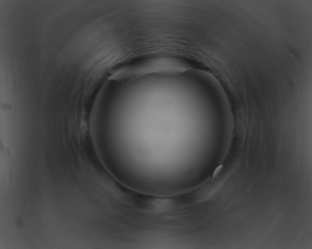 X0000090970085200708021447