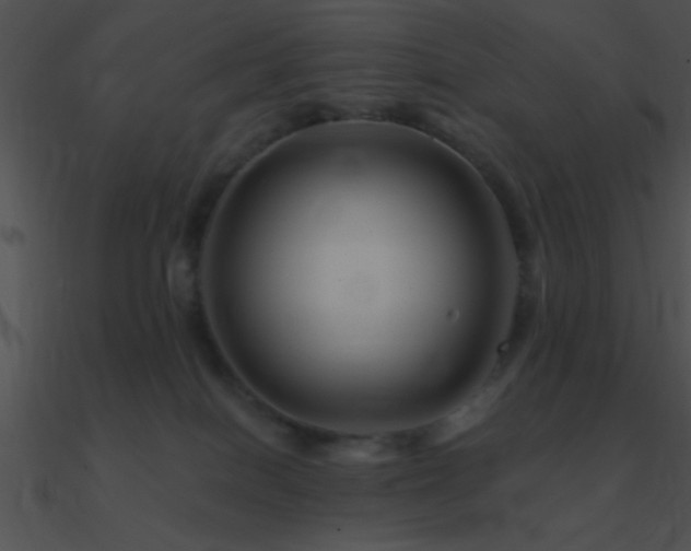 X0000090970086200708021447