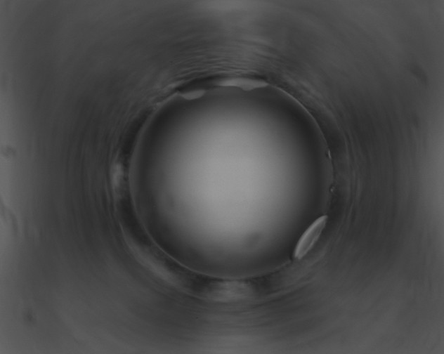 X0000090970087200708021447