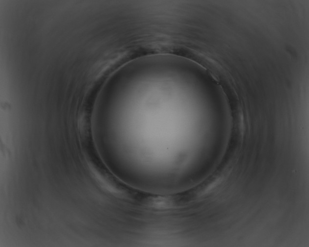 X0000090970088200708021447