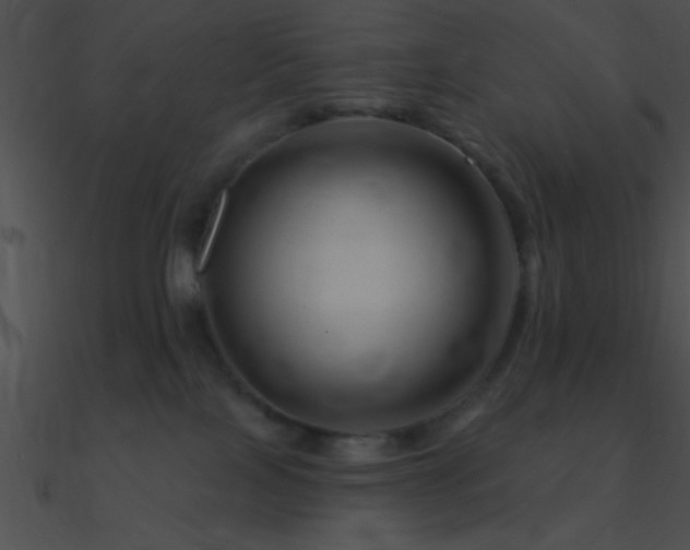 X0000090970089200708021447