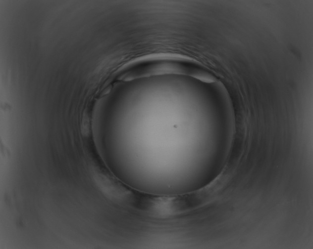 X0000090970090200708021447