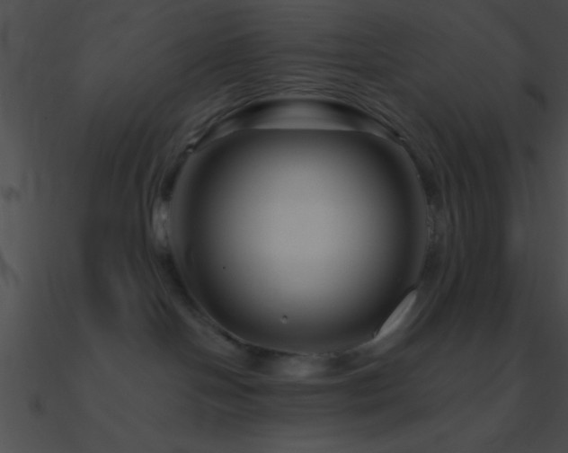 X0000090970094200708021447