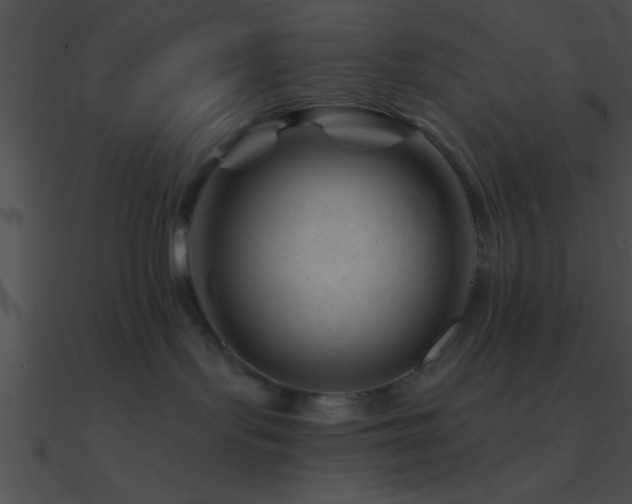 X0000090970095200708021447