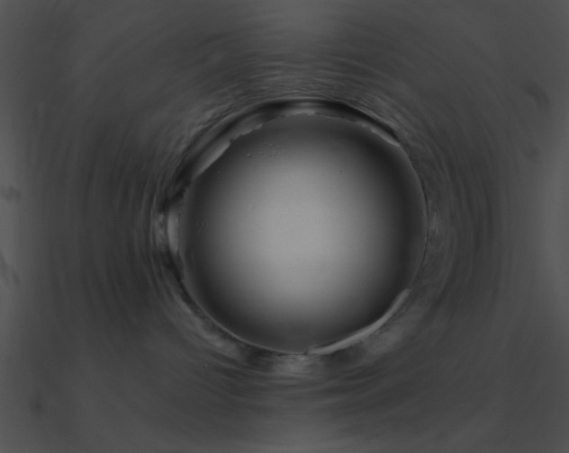 X0000090970096200708021447