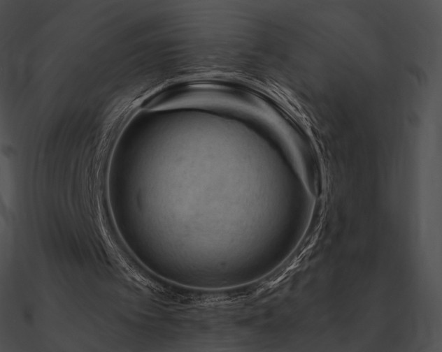 X0000090970097200708021446