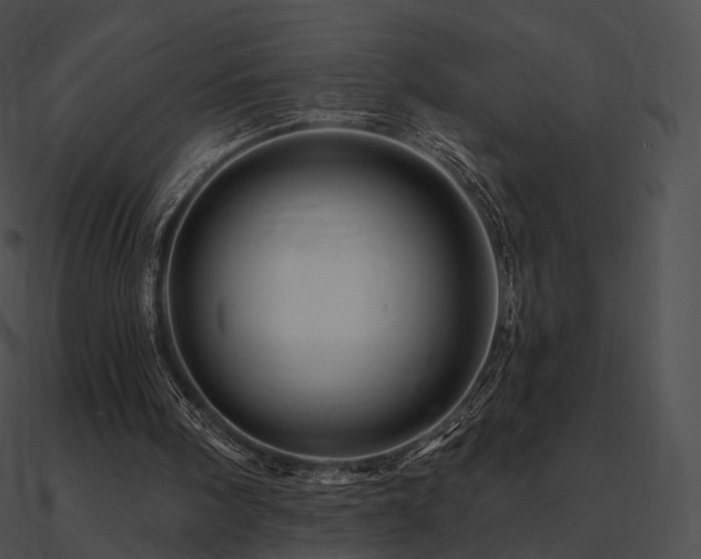 X0000090970098200708021446