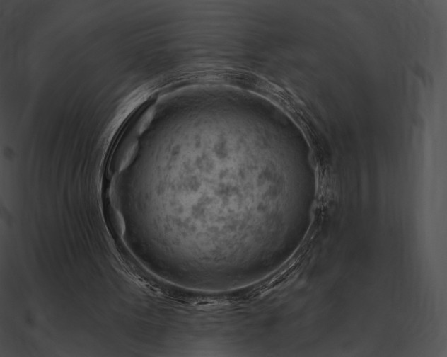 X0000090970099200708021446