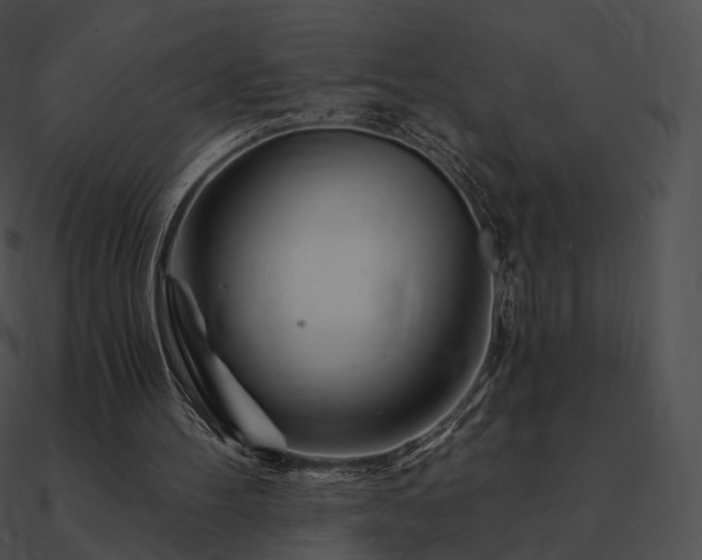 X0000090970100200708021446