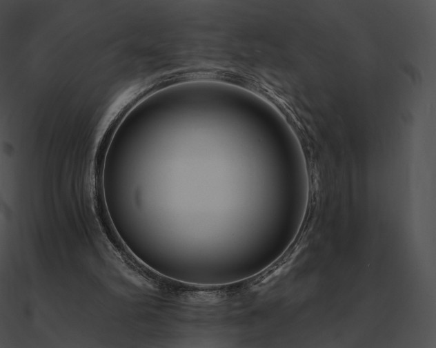 X0000090970102200708021446