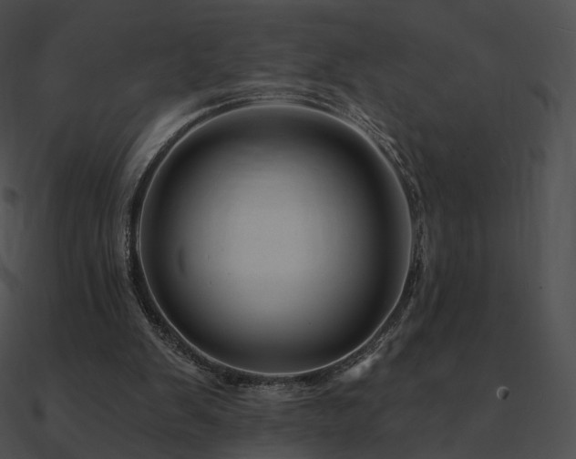 X0000090970103200708021446