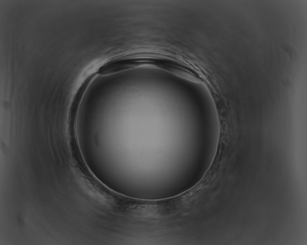 X0000090970104200708021446