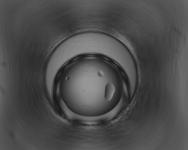 X0000090970105200708021446