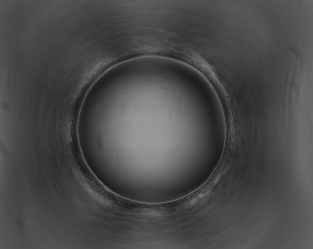 X0000090970106200708021446