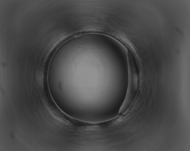 X0000090970108200708021446