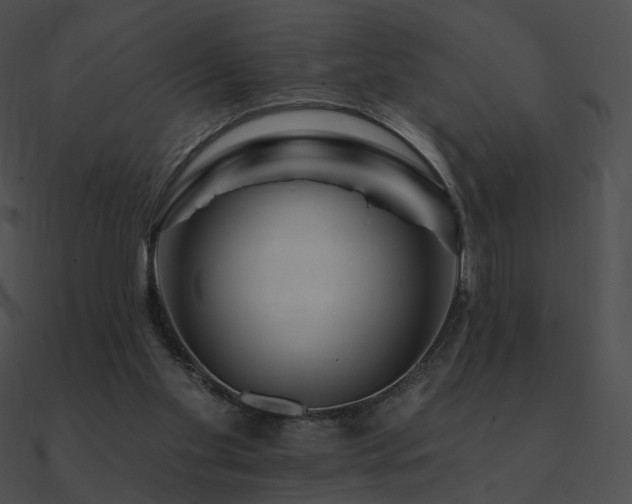 X0000090970109200708021446