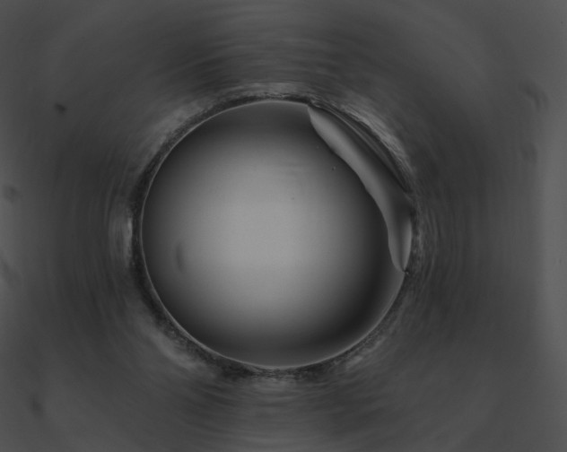 X0000090970110200708021446