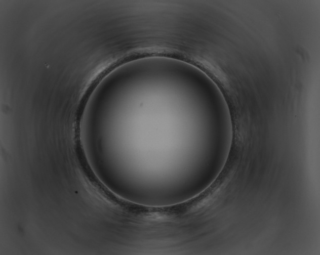 X0000090970111200708021446