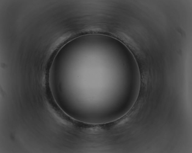 X0000090970112200708021446