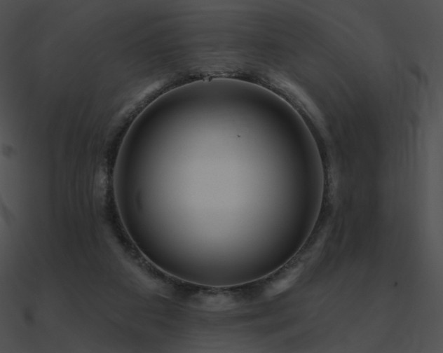 X0000090970113200708021446